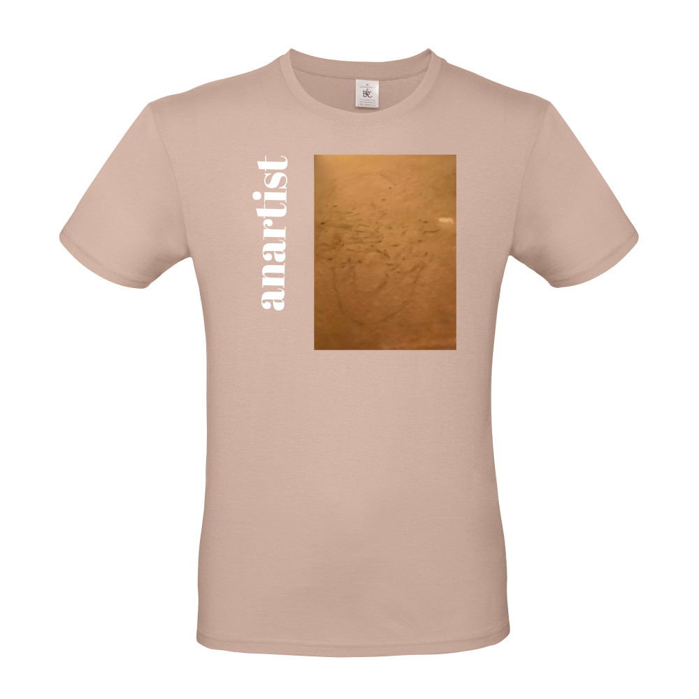 Short Sleeved T-Shirt - Coloured