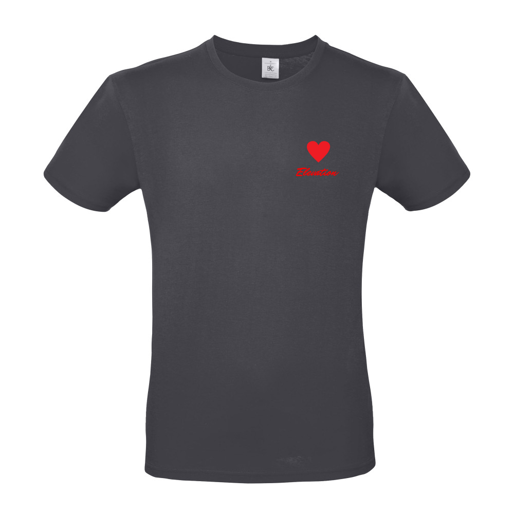 Short Sleeved T-Shirt - Coloured