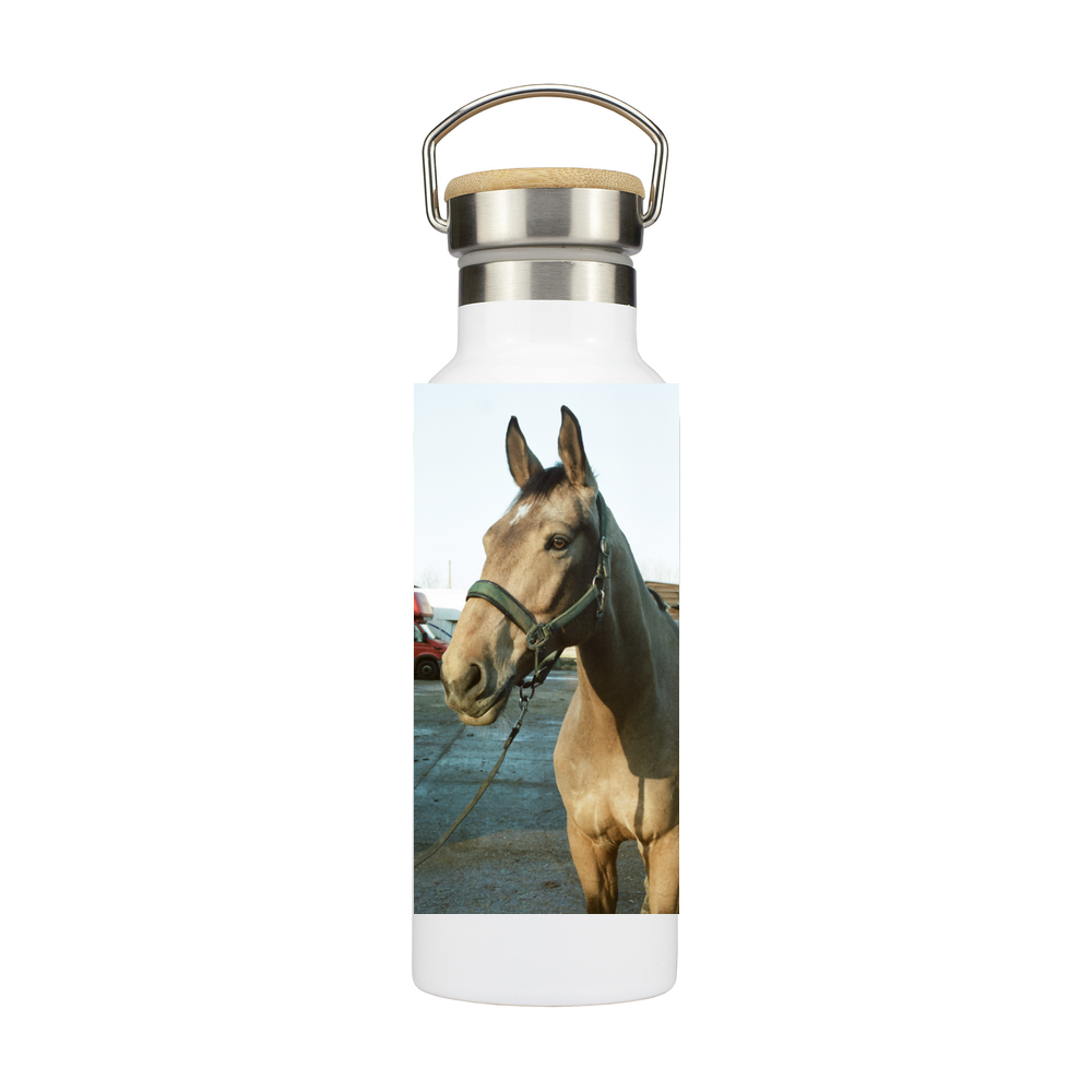Zippy - Stainless Steel Bottle with Bamboo Lid