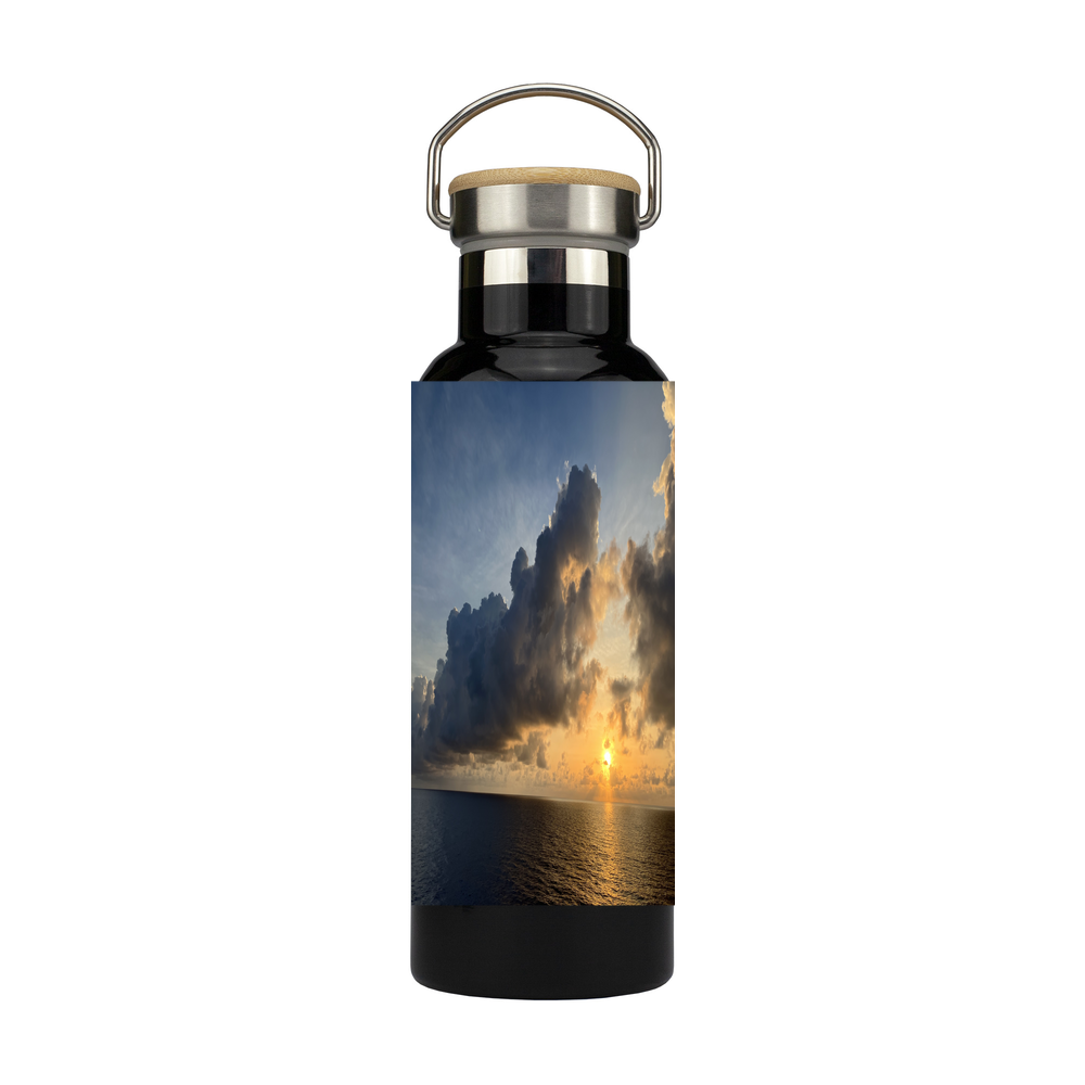 Stainless Steel Bottle with Bamboo Lid