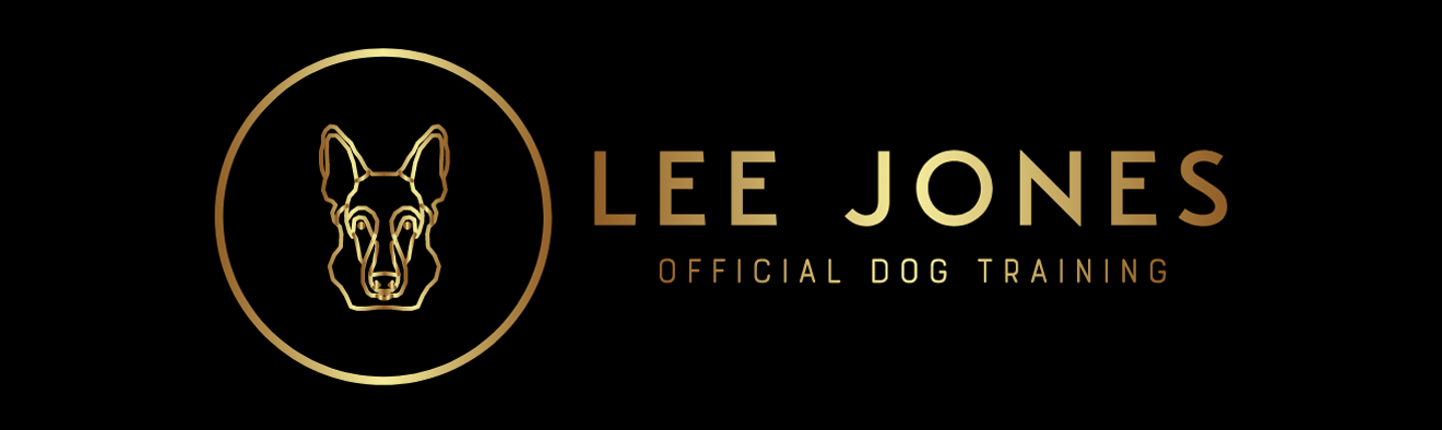 Lee Jones Official Merch