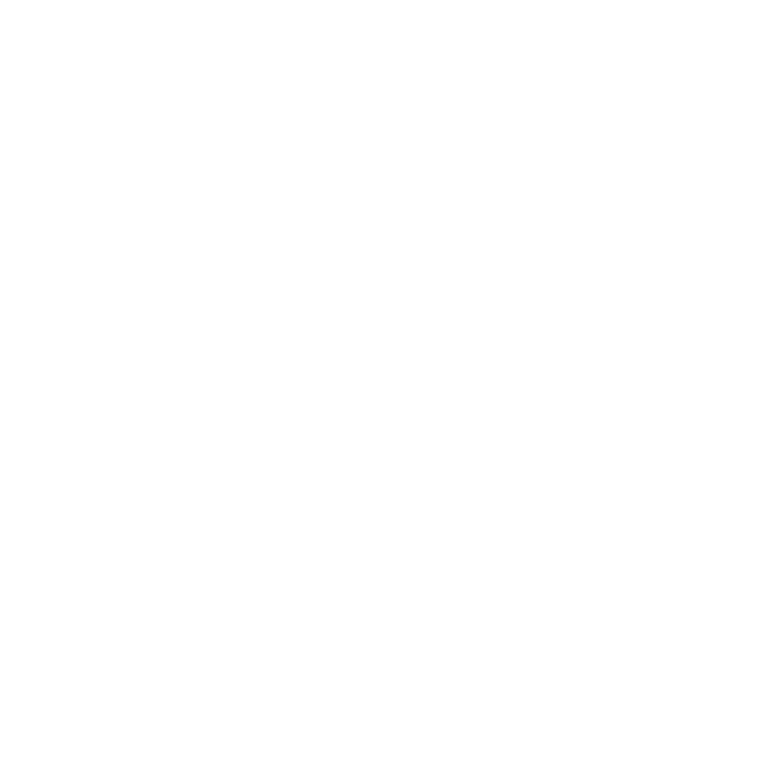 The Performing Arts Company