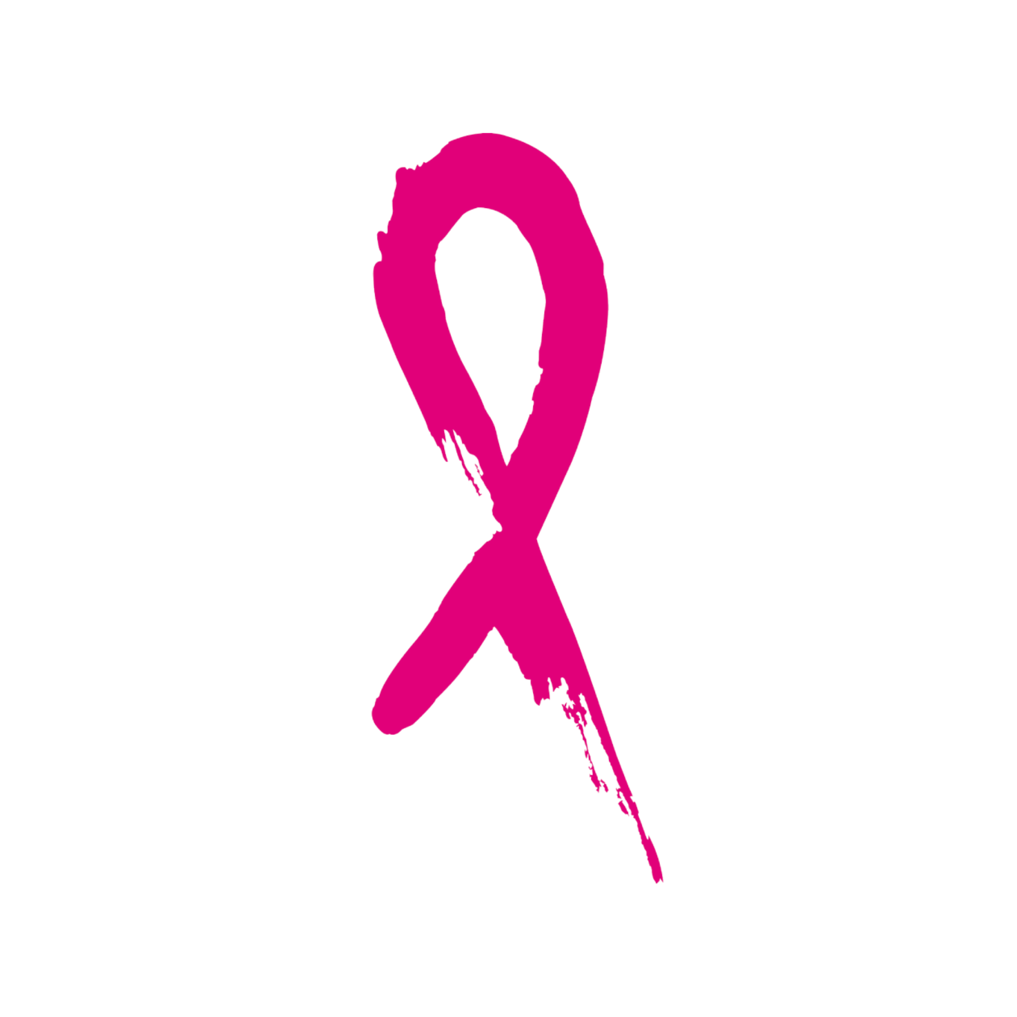 About The Pink Ribbon Foundation Merchr Store