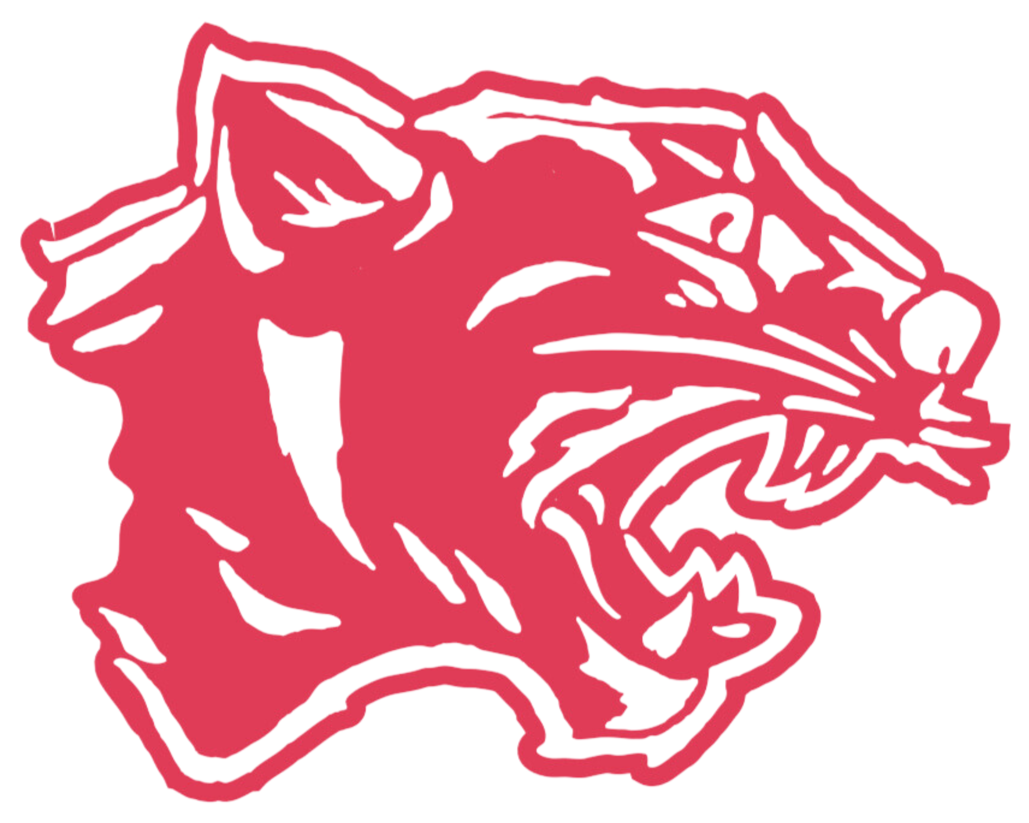 Gotherington Jaguars