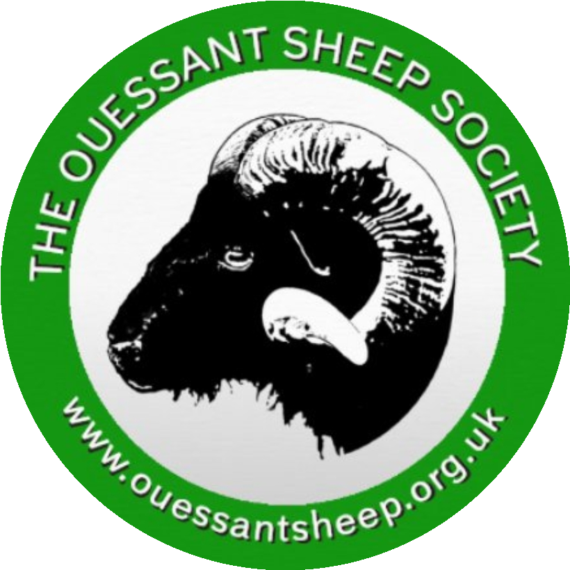 The Ouessant Sheep Society